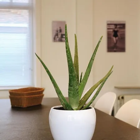 Vakantiewoning Elena *